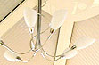 Conservatory chandelier ceiling light
